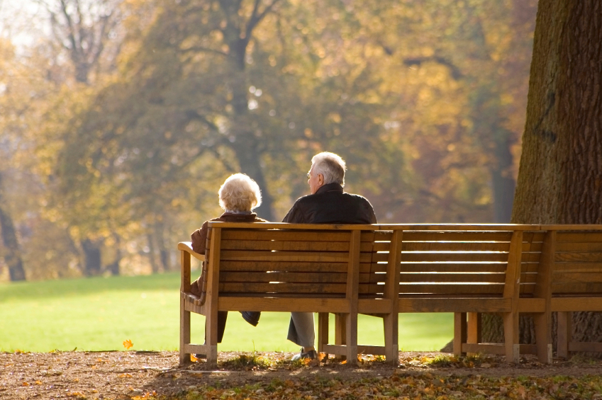 An older couple in jackets sit on a wooden bench under a large tree looking into a field of grass in the fall.